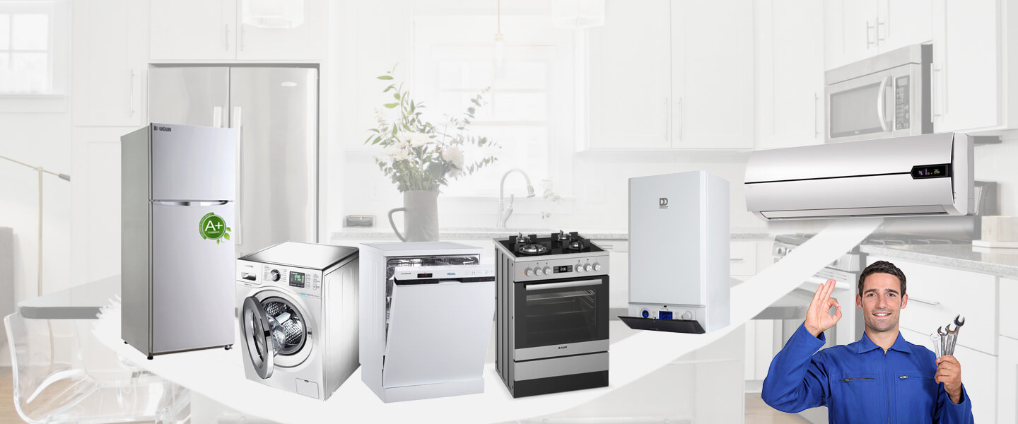 Laçin Smeg Servisi